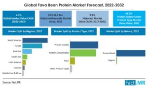 Faba Bean Protein Market

