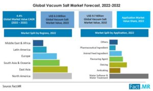 Vacuum Salt Market

